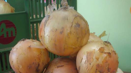 楽しいぞ！玉ねぎツムツム。